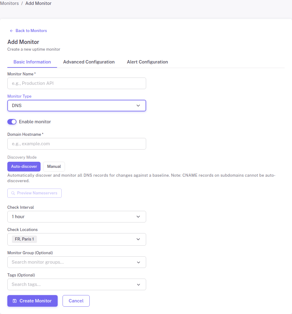 DNS monitor configuration form in StatusDrift